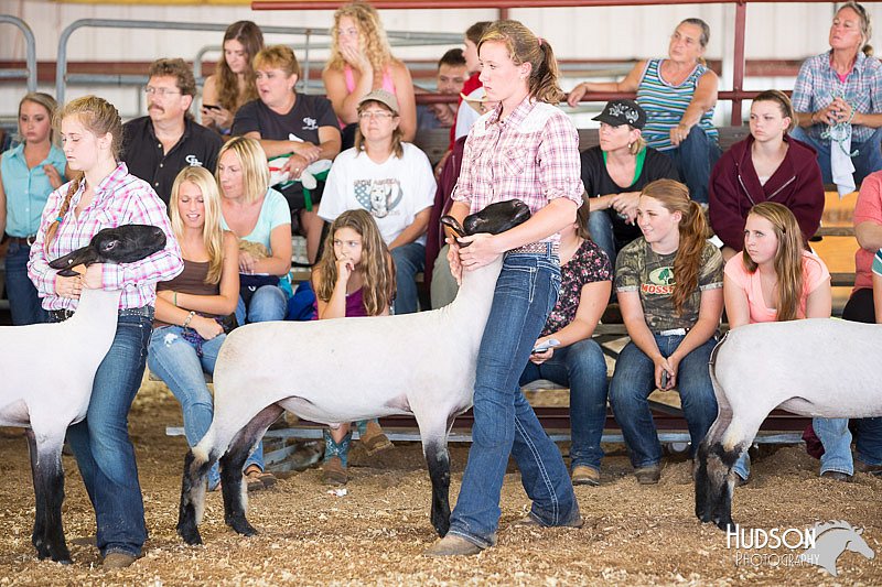 LCFAIR14-1595.jpg