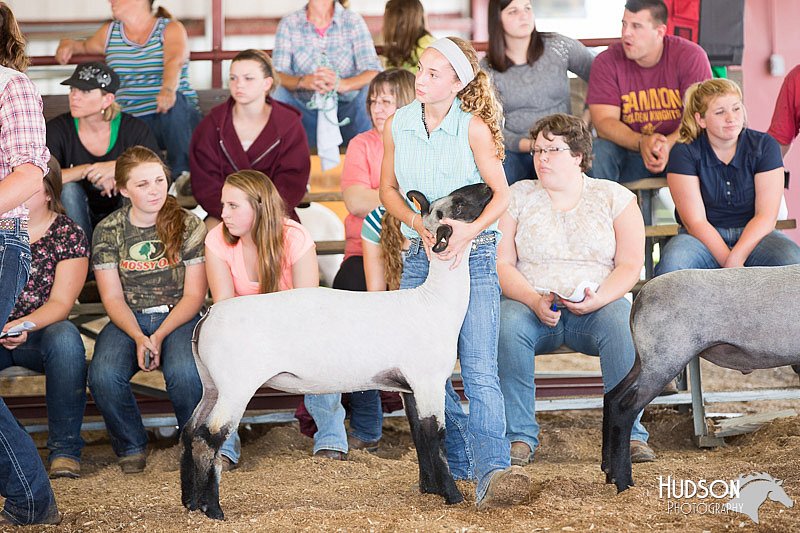 LCFAIR14-1596.jpg
