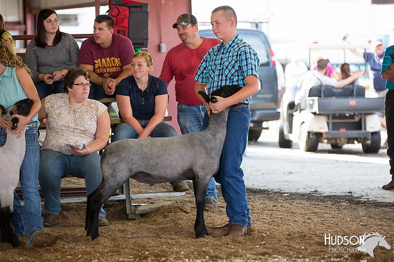 LCFAIR14-1597.jpg