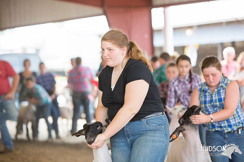 LCFAIR14-1598.jpg