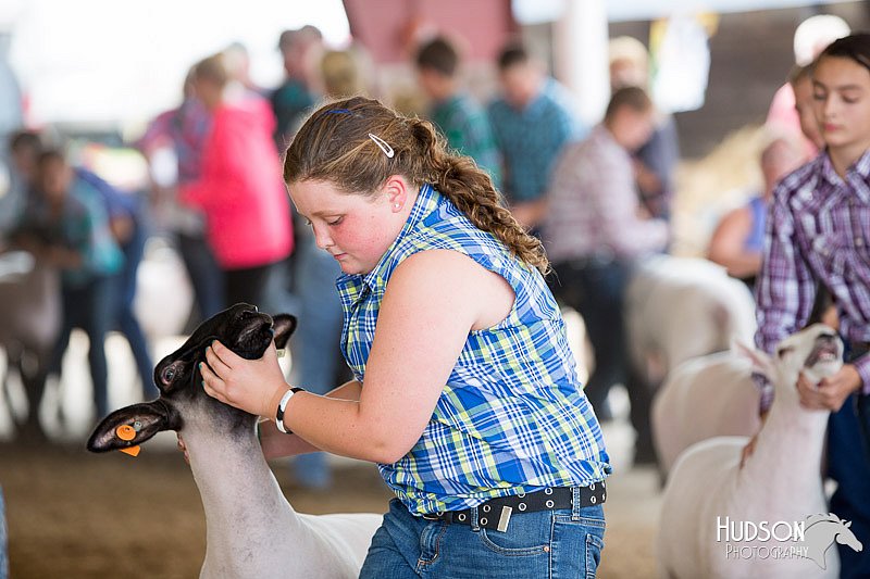 LCFAIR14-1599.jpg
