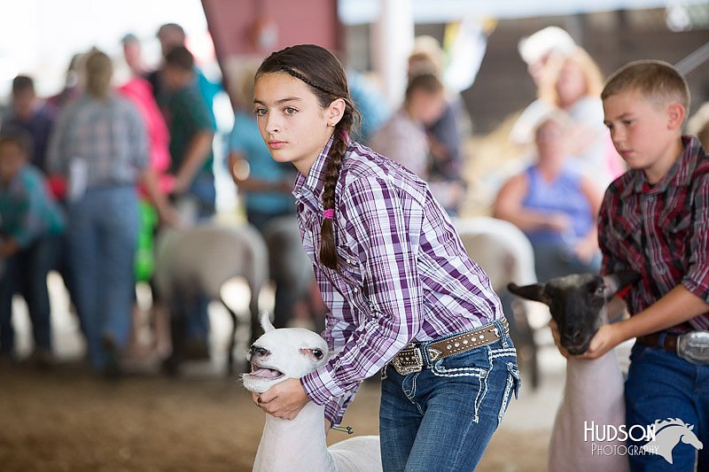 LCFAIR14-1600.jpg
