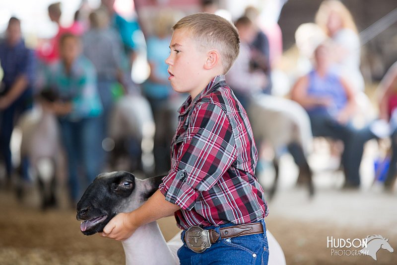 LCFAIR14-1601.jpg