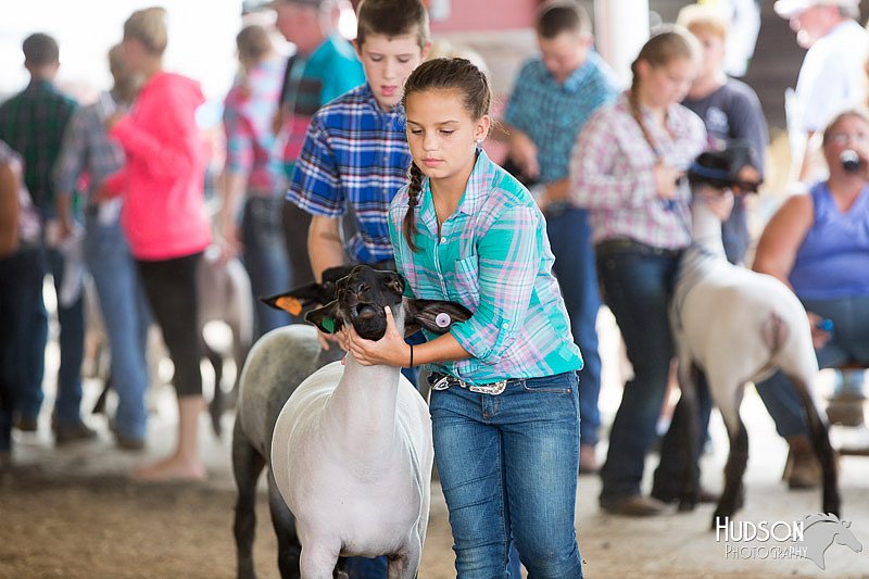 LCFAIR14-1602.jpg