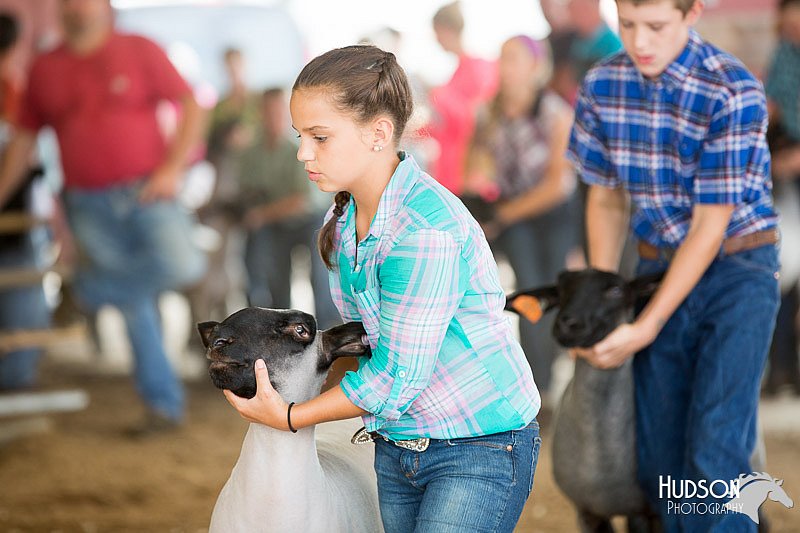 LCFAIR14-1603.jpg