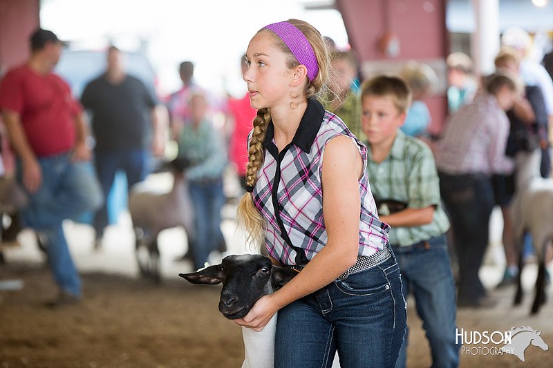 LCFAIR14-1607.jpg
