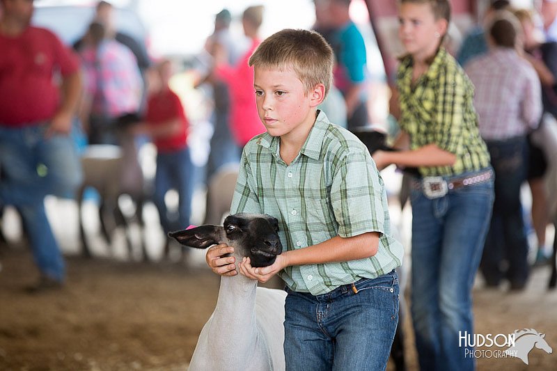 LCFAIR14-1609.jpg