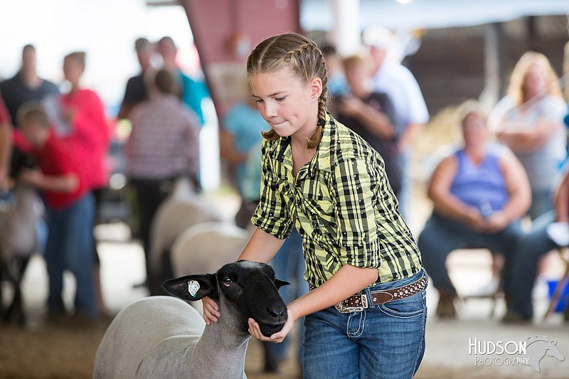 LCFAIR14-1610.jpg