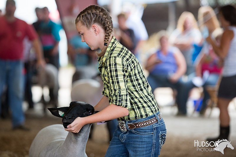 LCFAIR14-1611.jpg