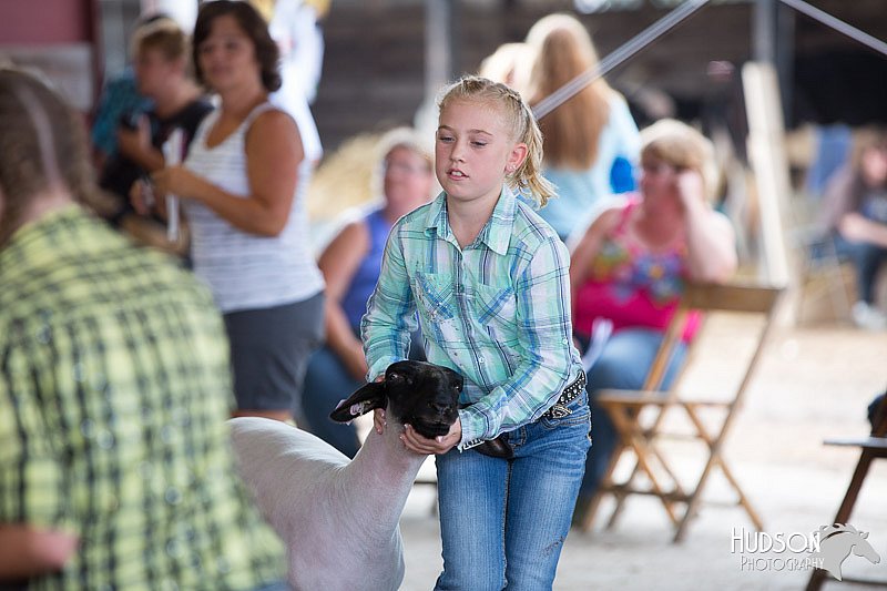 LCFAIR14-1612.jpg