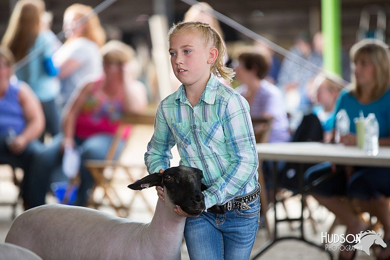 LCFAIR14-1613.jpg