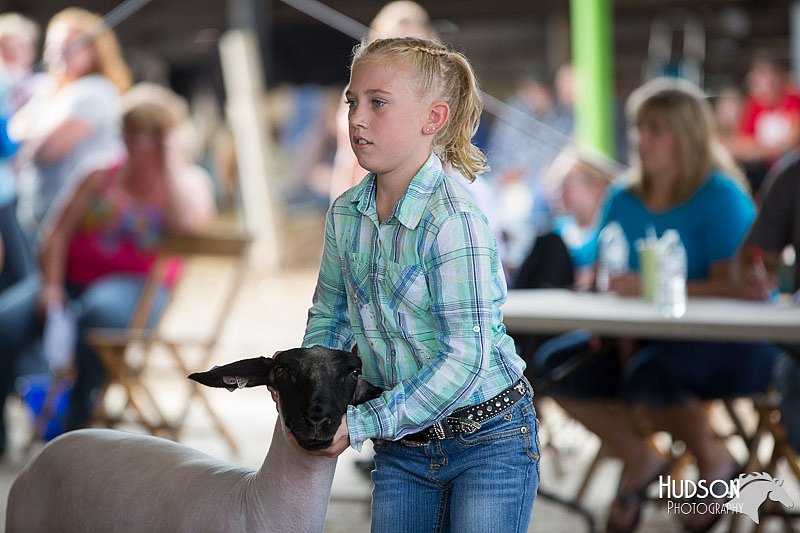 LCFAIR14-1614.jpg