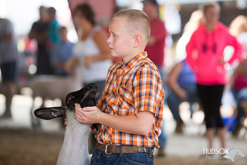 LCFAIR14-1618.jpg