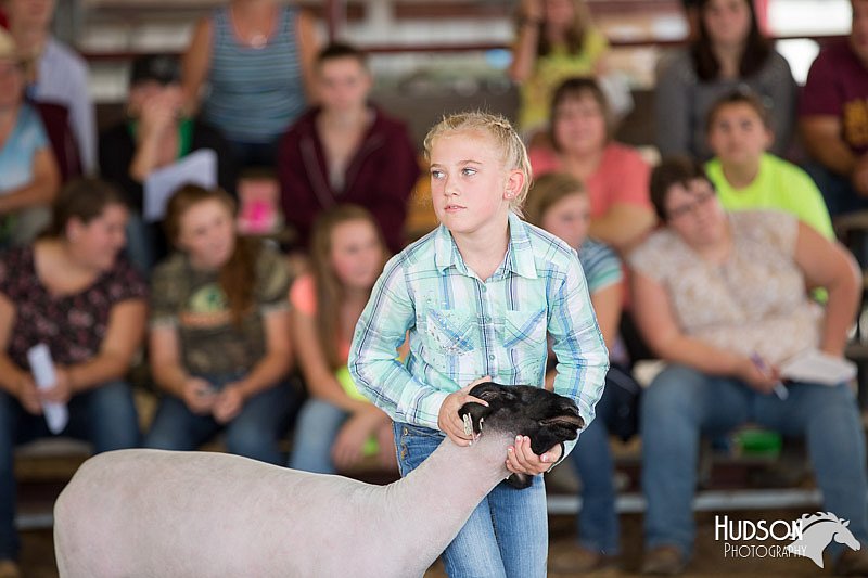 LCFAIR14-1620.jpg