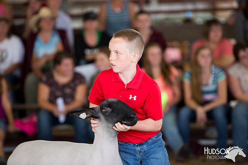 LCFAIR14-1623.jpg