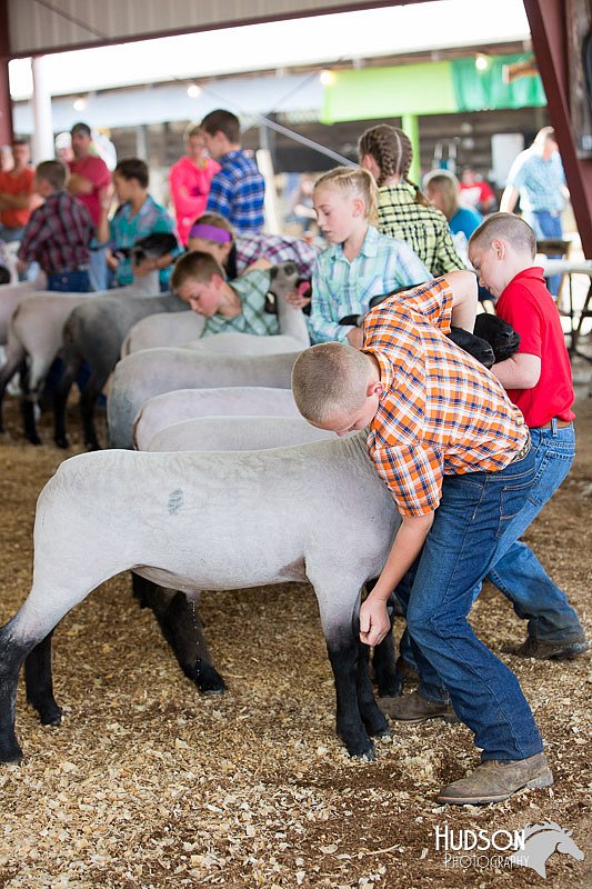 LCFAIR14-1625.jpg