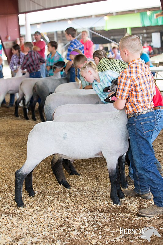 LCFAIR14-1626.jpg