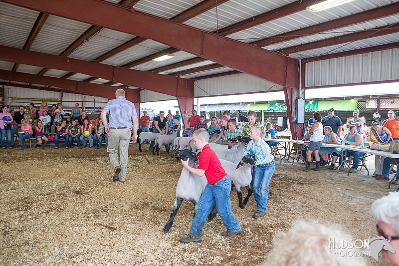 LCFAIR14-1628.jpg