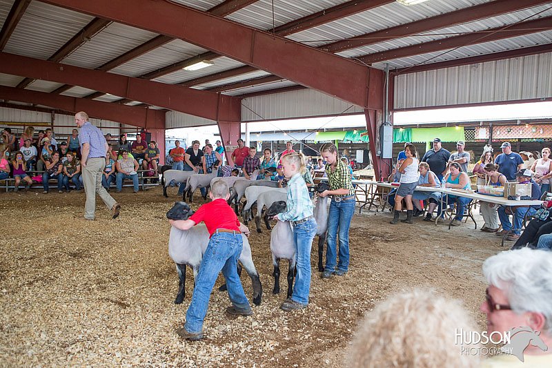 LCFAIR14-1629.jpg