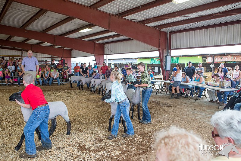 LCFAIR14-1630.jpg