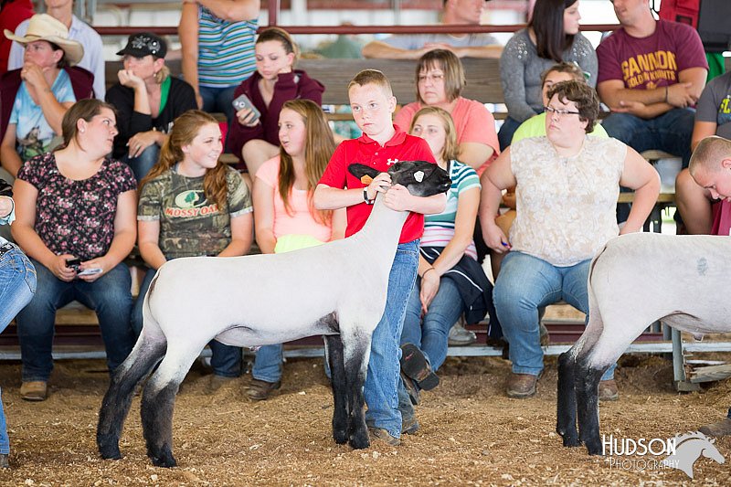 LCFAIR14-1631.jpg