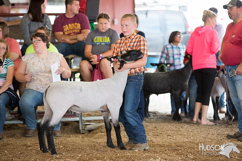 LCFAIR14-1632.jpg
