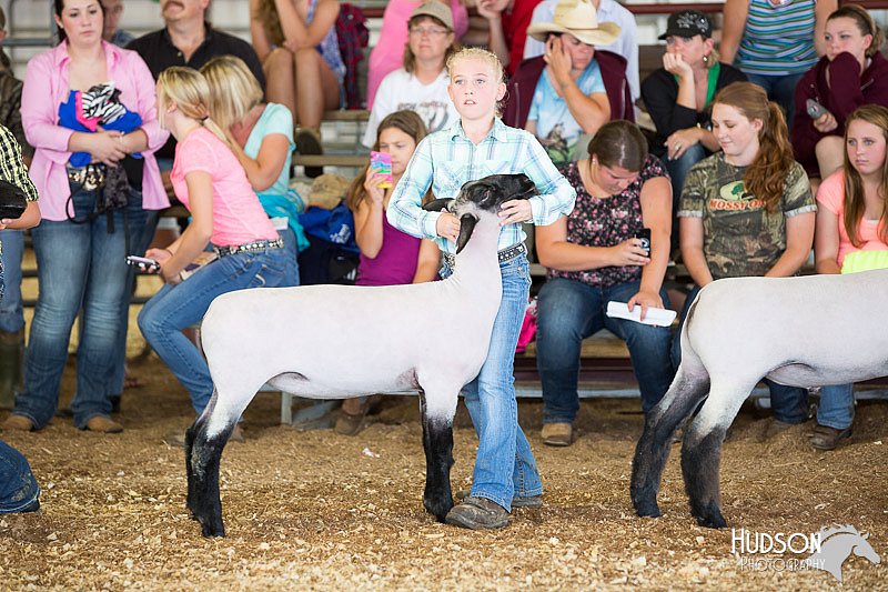 LCFAIR14-1633.jpg