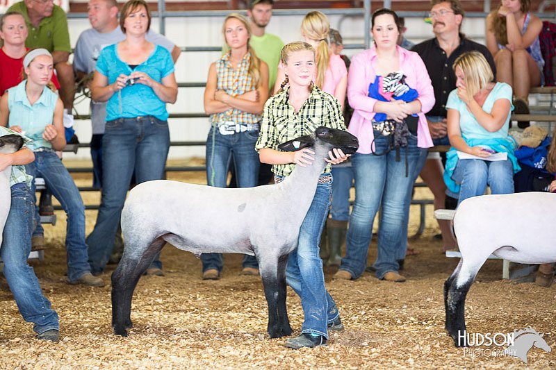 LCFAIR14-1634.jpg