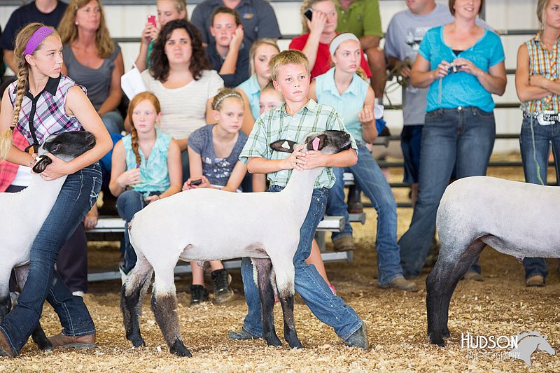 LCFAIR14-1635.jpg