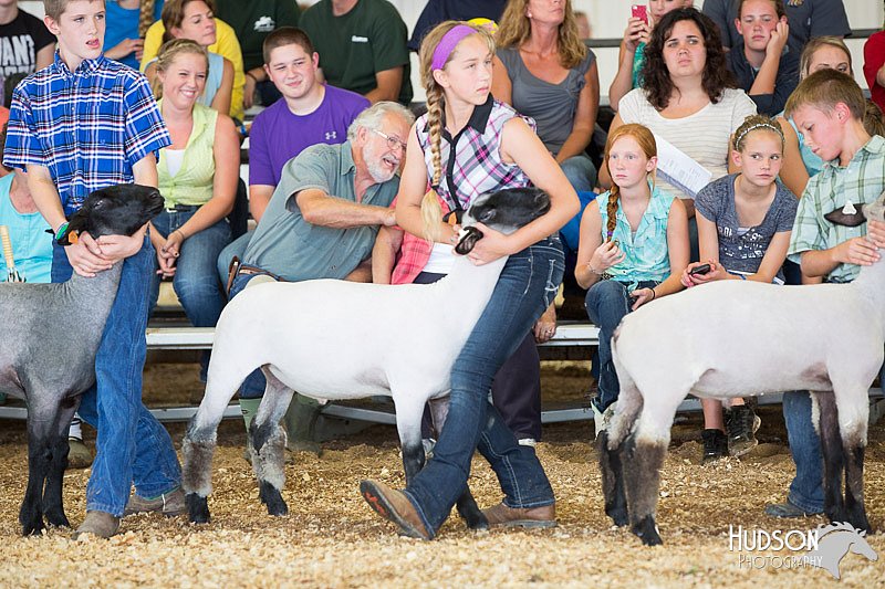 LCFAIR14-1636.jpg