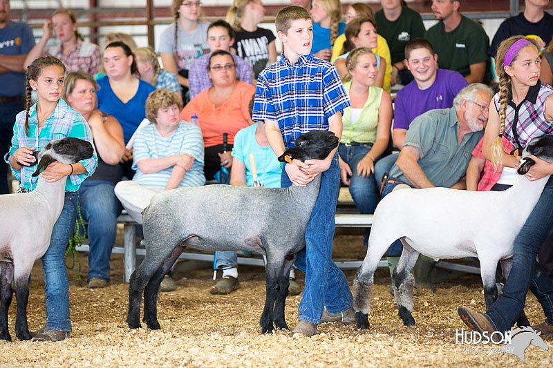 LCFAIR14-1637.jpg