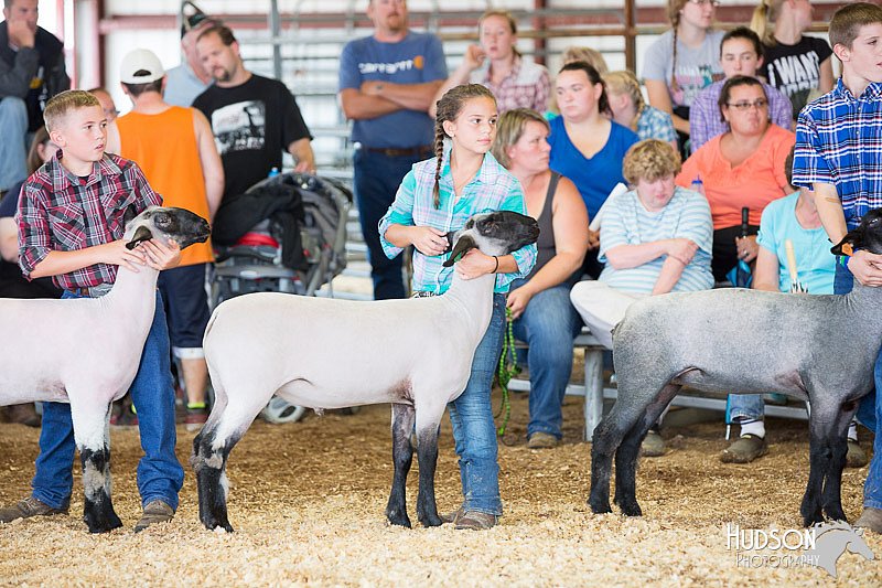 LCFAIR14-1638.jpg