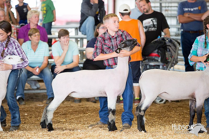 LCFAIR14-1639.jpg