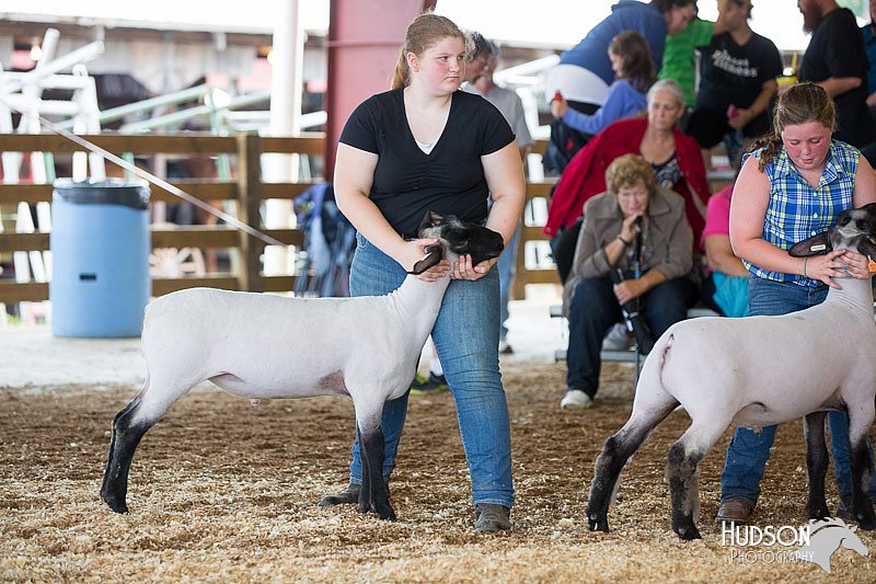 LCFAIR14-1640.jpg