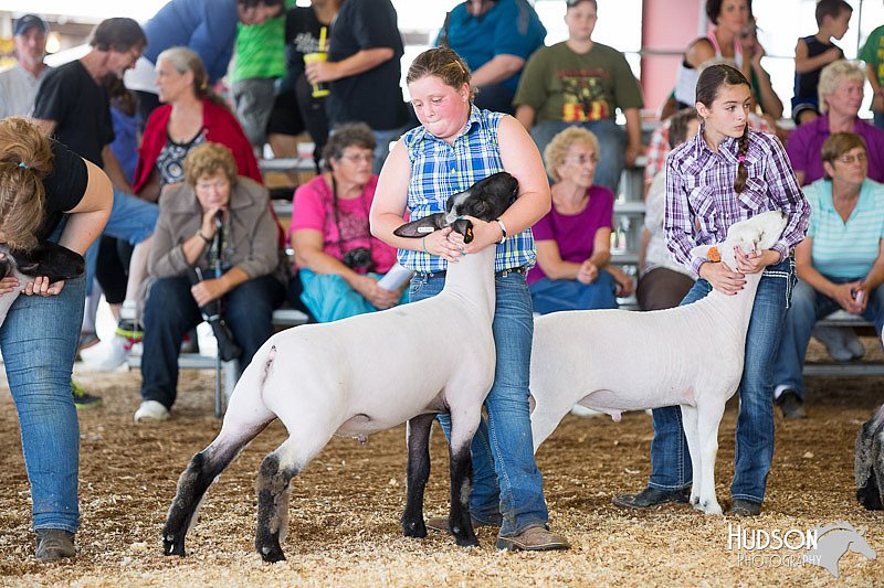LCFAIR14-1641.jpg