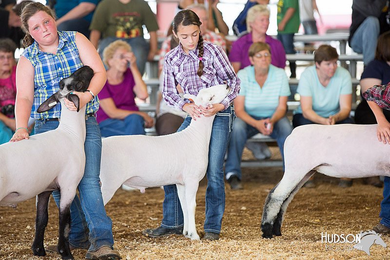 LCFAIR14-1642.jpg