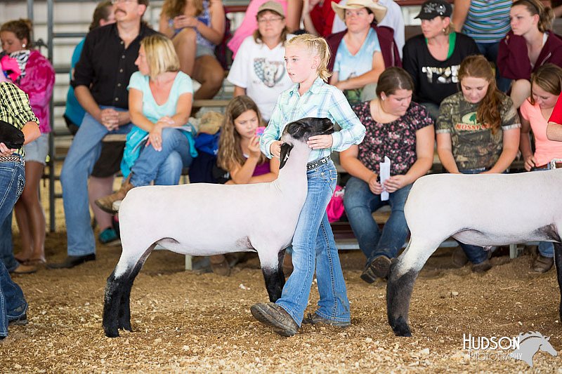 LCFAIR14-1643.jpg