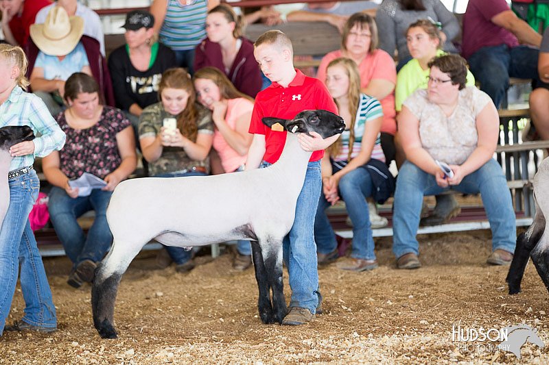 LCFAIR14-1644.jpg