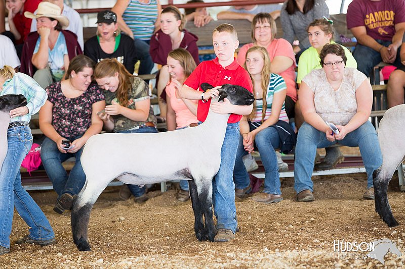 LCFAIR14-1645.jpg