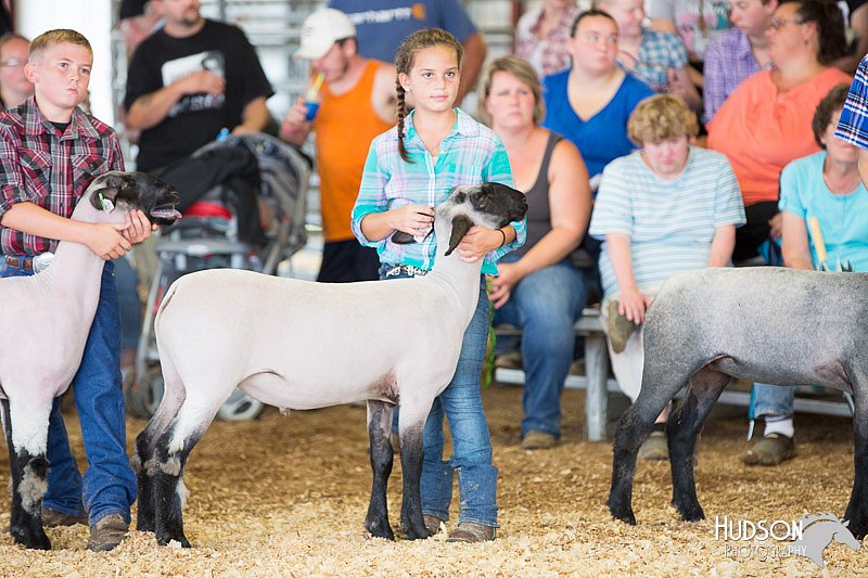 LCFAIR14-1646.jpg
