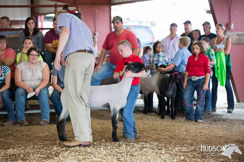 LCFAIR14-1650.jpg