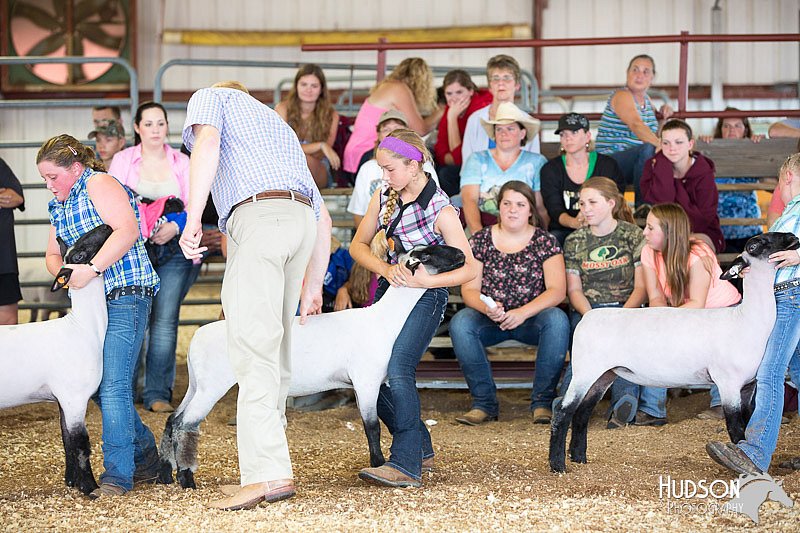 LCFAIR14-1652.jpg