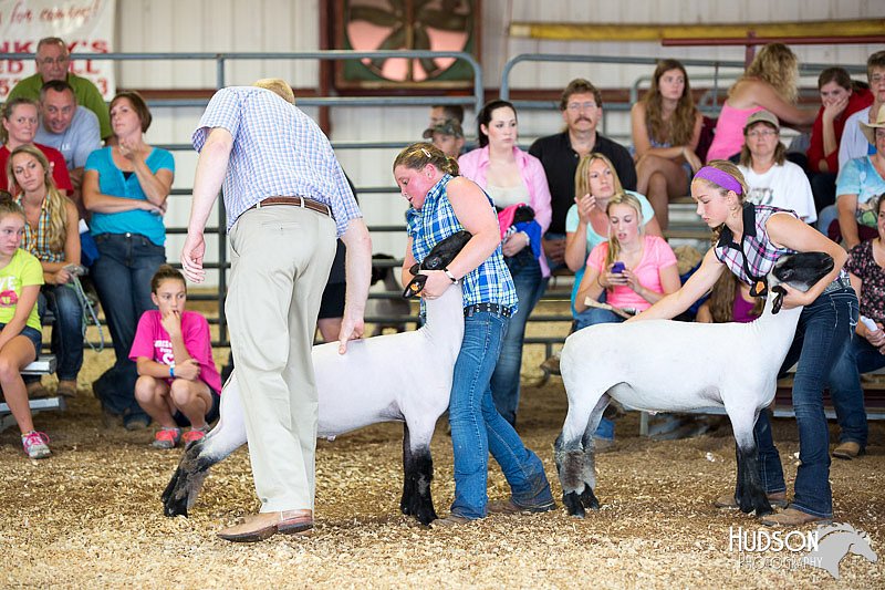 LCFAIR14-1653.jpg