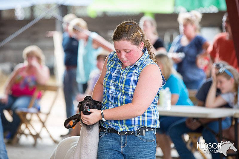 LCFAIR14-1654.jpg