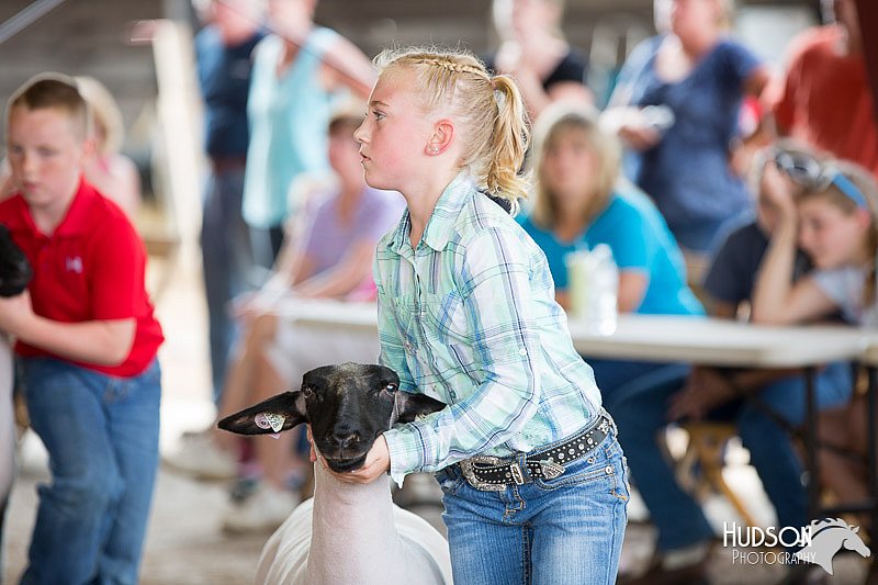 LCFAIR14-1655.jpg