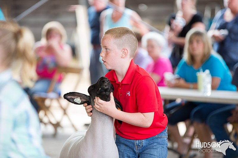 LCFAIR14-1657.jpg