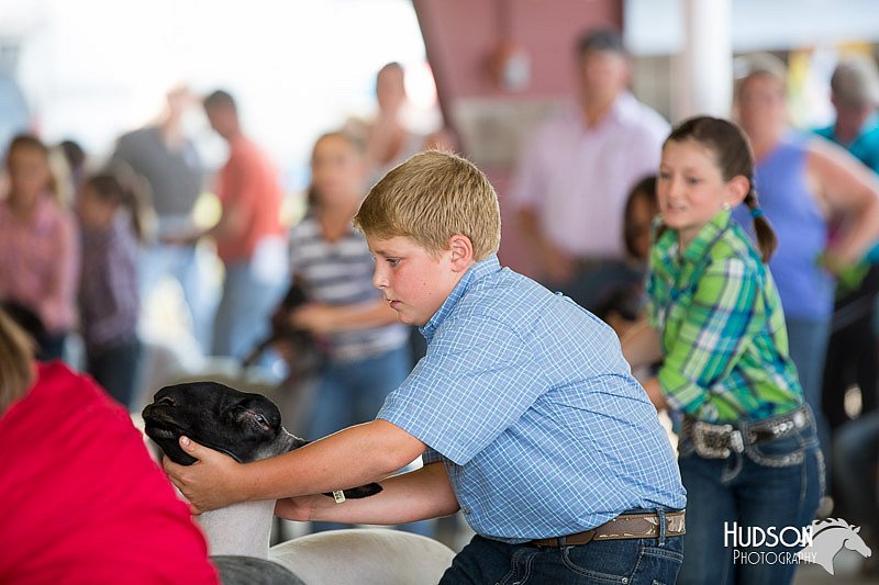 LCFAIR14-1667.jpg