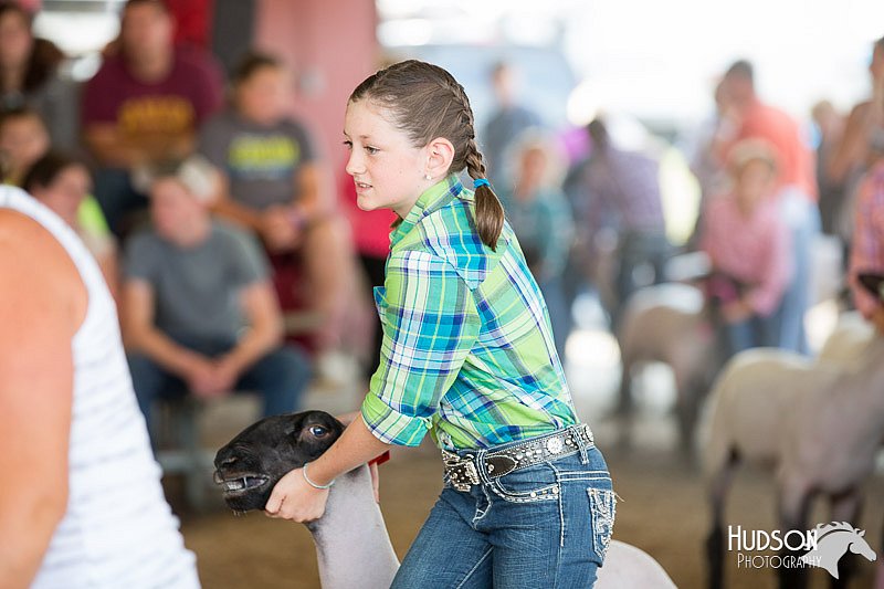 LCFAIR14-1671.jpg