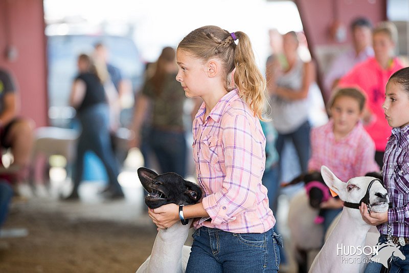 LCFAIR14-1673.jpg