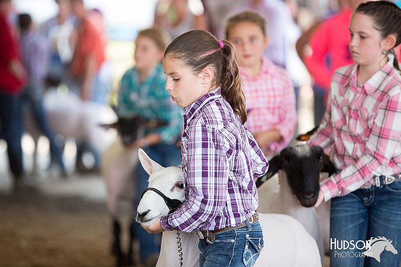 LCFAIR14-1674.jpg